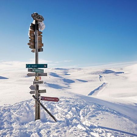 SvingvollSkeikampen Leilighet, Veslesetervegen 973 Fアパートメント エクステリア 写真
