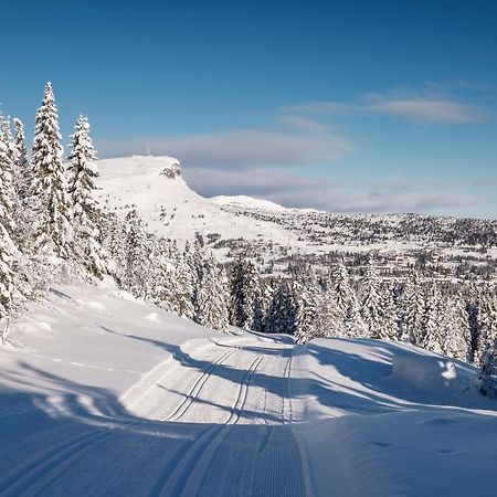SvingvollSkeikampen Leilighet, Veslesetervegen 973 Fアパートメント エクステリア 写真