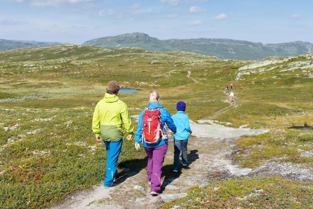 SvingvollSkeikampen Leilighet, Veslesetervegen 973 Fアパートメント エクステリア 写真