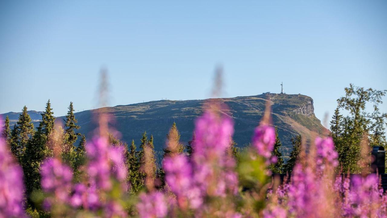 SvingvollSkeikampen Leilighet, Veslesetervegen 973 Fアパートメント エクステリア 写真