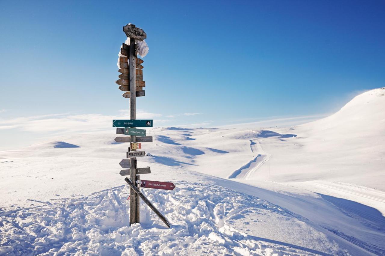 SvingvollSkeikampen Leilighet, Veslesetervegen 973 Fアパートメント エクステリア 写真