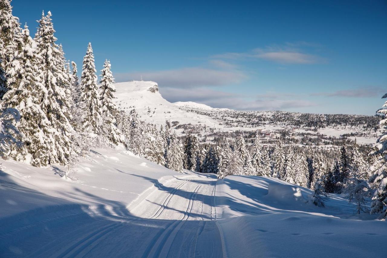 SvingvollSkeikampen Leilighet, Veslesetervegen 973 Fアパートメント エクステリア 写真